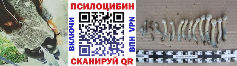 Галлюциногенные грибы Cubensis  Миллерово 