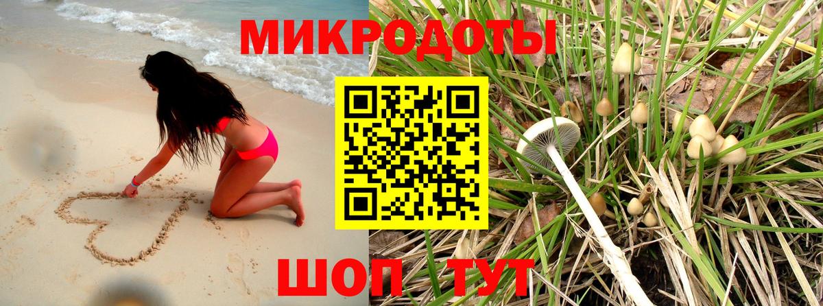 Миллерово  Галлюциногенные грибы Psilocybe  Вход с VPN  Галлюциногенные грибы Psilocybine cubensis 