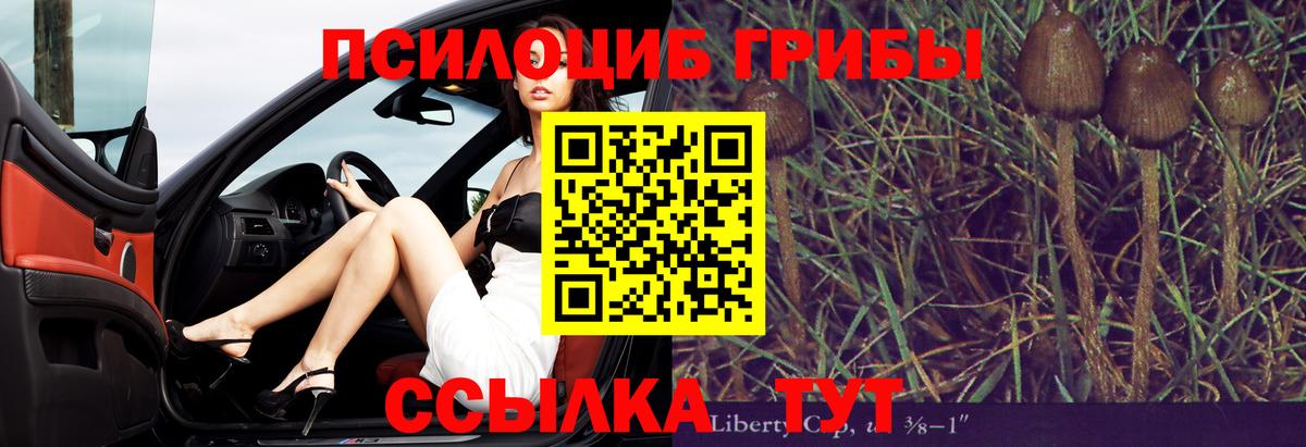 Псилоцибиновые грибы MAGIC MUSHROOMS Миллерово